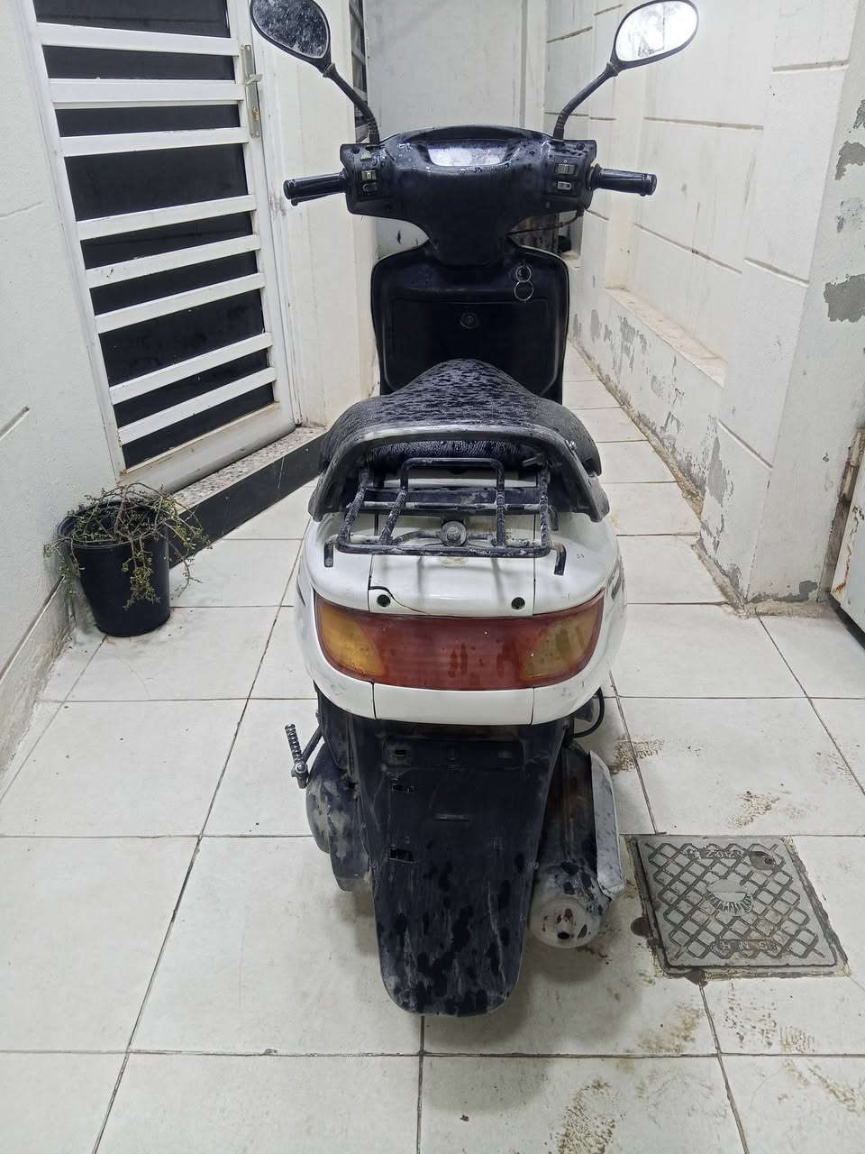 فراشة • مامفتوحة • باتري ضعيف
