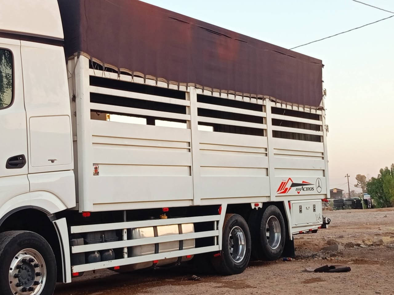 بدي وحش بريص 490/رتفاع 285/عرض 262/طول 775تفصال جديد سعر 55اي استفسار ع رقم ***********
