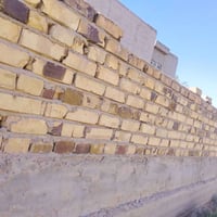 طوريج الهنديه • ١٠٠م • سند ٢٥