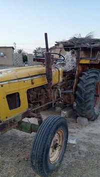عنتر • سعرو مناسب • للبيع
