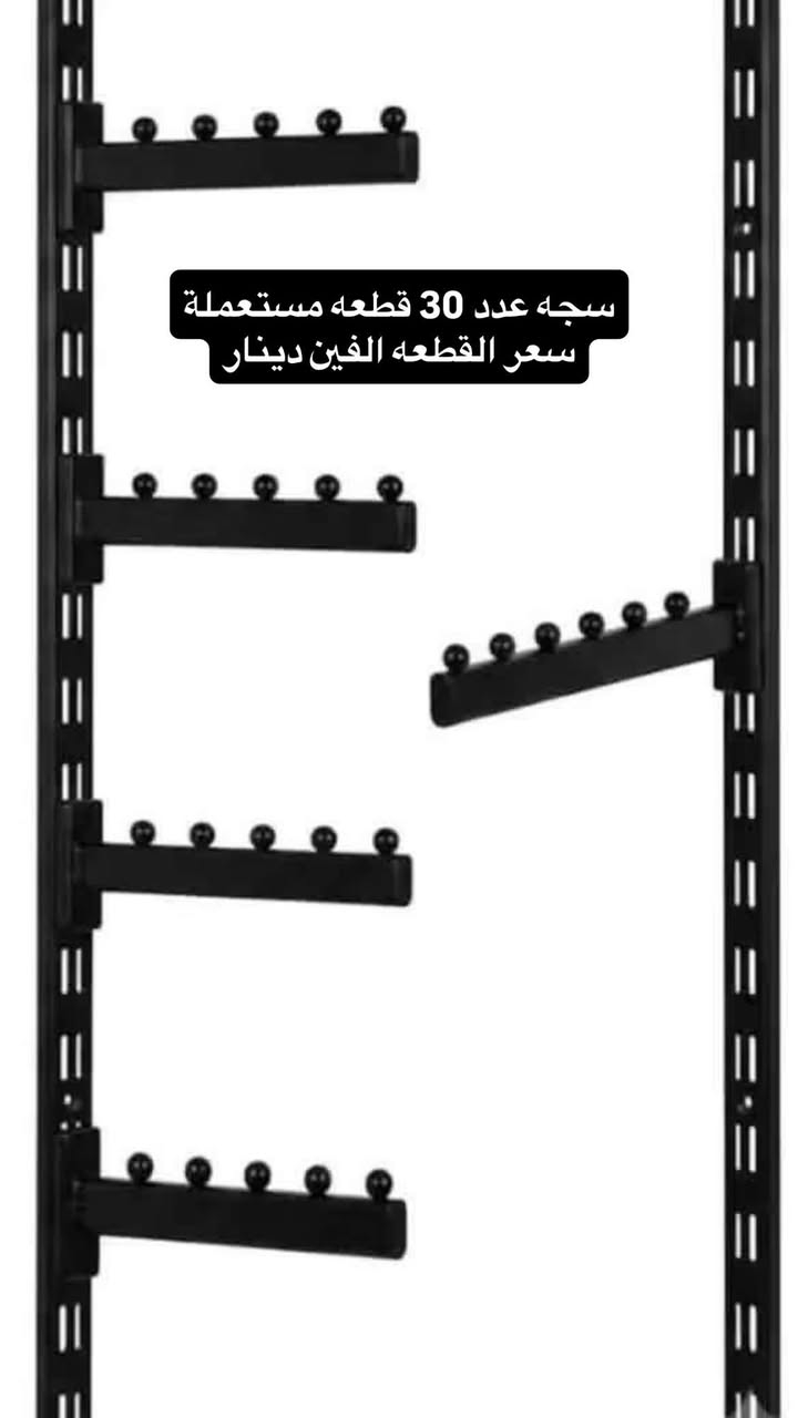سجة ٣٠ • ذراع خرز • حديد ثقيل ٢