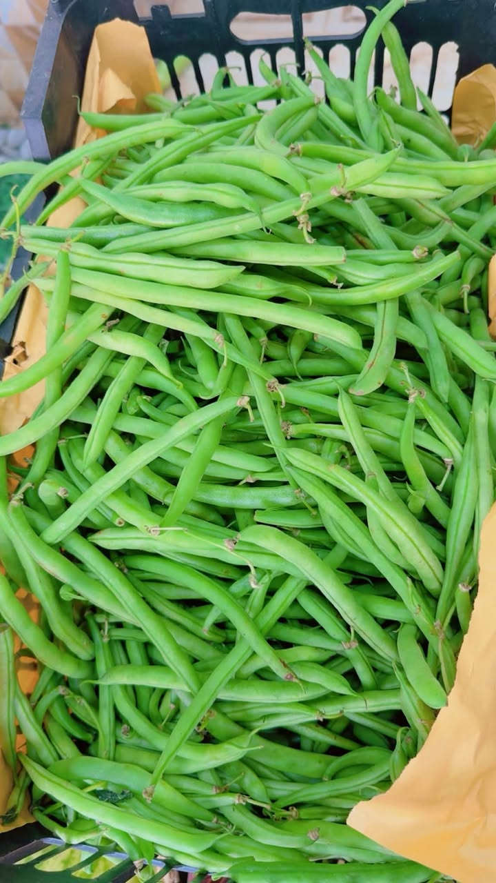 مسواك • ١١/١٠/٢٠٢٦ • راوه