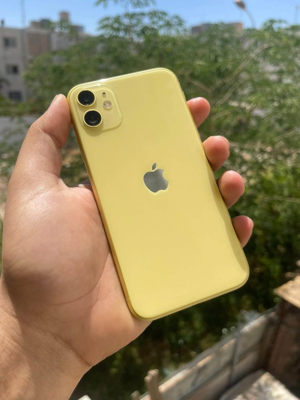 السلام عليكم من رخصة الادمن
متوووفر للبيع
              
📱ايفون11 عادي
🍋 لون اصفر 
💾 ذاكرة 64
🔋 نسبه البطارية 82
📞 تك سيم كارت
فول نضافه شرط مبدل شاشه اصليه 3 خيارات  بصمه وجه متوقفه

الشراي يتفضل خاص لو تصل ويدلل محضور من تعاليق
‏ ***********
