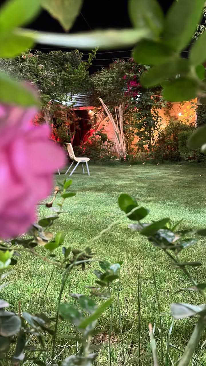 كربلاء الحسين • دار فاخرة • ٤٠٠م