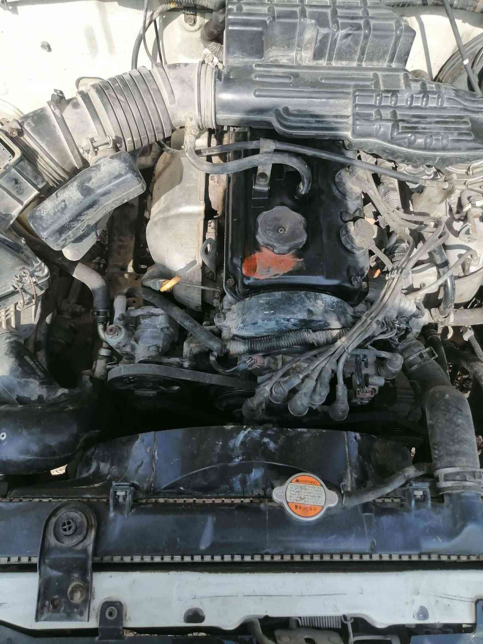دبل قمارة • ٢٠٠٤ • مكفولة صبغ