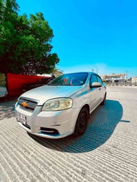 افيو ٢٠١٣ • رقم نجف • تبريد ثلج
