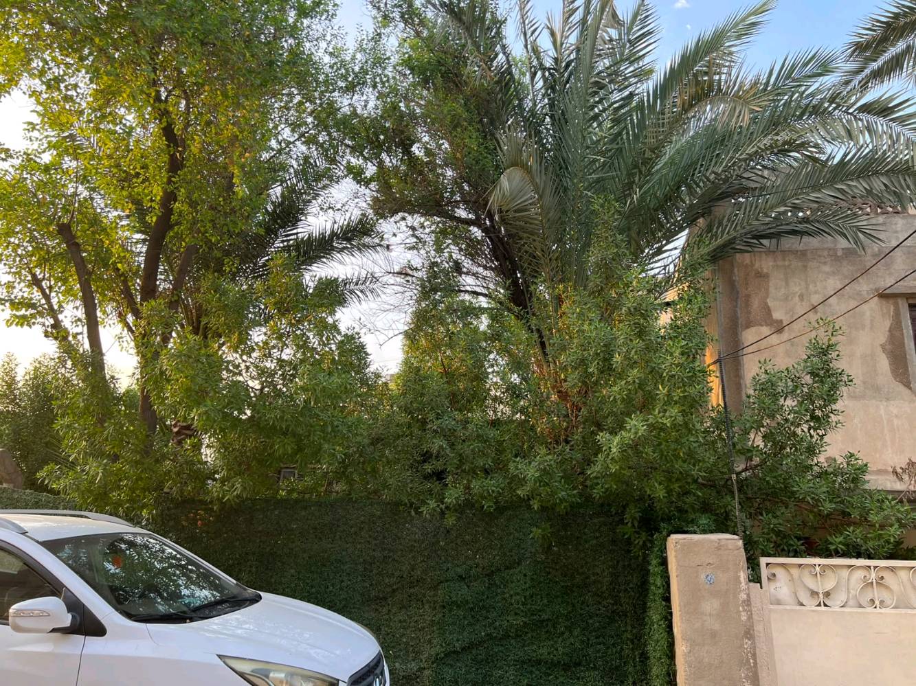 🏡✨ للبيع بيت + حديقة وملحق – بغداد الجديدة ✨🏡
​📍 الموقع: بغداد الجديدة – شارع المسبح – قرب معهد المعلمات ومحطة الكهرباء(موقع مميز وكلشي متوفر وقريب علية) 
📐 مساحة البيت: 138.70 متر مربع
🏗️ التفاصيل: بناء السبعينات (طابقين)
🛌 محتويات البيت: 4 غرف نوم + هول + استقبال + مطبخ + صحيات
🌳 مميزات إضافية: حديقة تجاوز مساحتها أكثر من130.5 متر مربع ملاصقة للبيت مباشرة تحتوي على بيت مصغر (2 غرفة + مطبخ + صحيات) 🏠
💰 السعر: 400 مليون (وقابل للتفاوض) 🤝
📞 للتواصل والاستفسار: ***********
