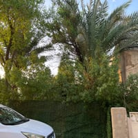 🏡✨ للبيع بيت + حديقة وملحق – بغداد الجديدة ✨🏡 ​📍 الموقع: بغداد الجديدة...