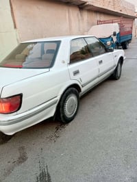 هرتوب • ١٩٩١ • كورك