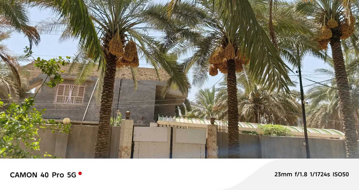 للبيع دار المساحه دونم وربع سياحي قرية النخيلة الشرقيه قرب محطه الوقود طابو زراعي بسمي يبعد عن شارع  العام اربعين متر تفاصيل أكثر اتصل واني خادم ***********
