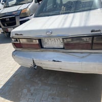 بونتيشا • ساقطة سنوية • أوراق