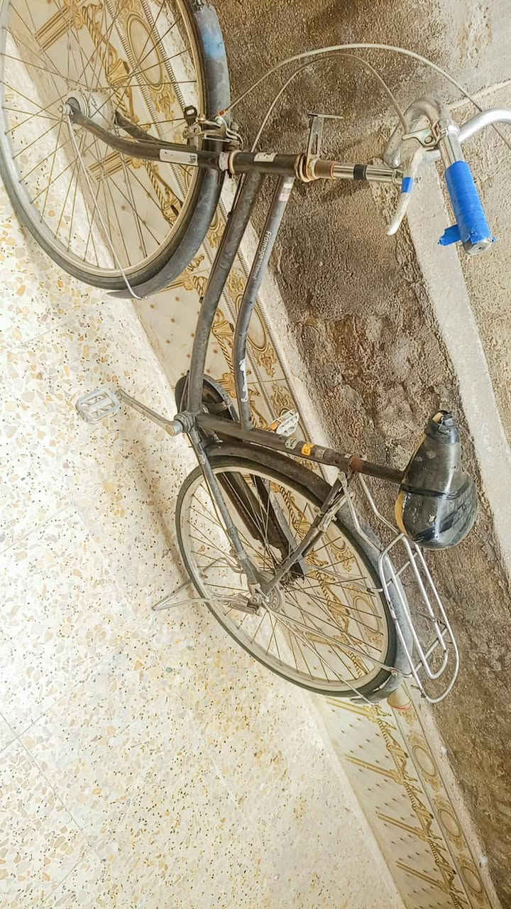 بايسكل • للبيع