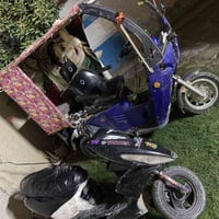 ماكس • مزود • ستوته
