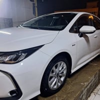 ٢٠٢٥ • ماشيه ٢٥٠٠٠ • رقم بابل
