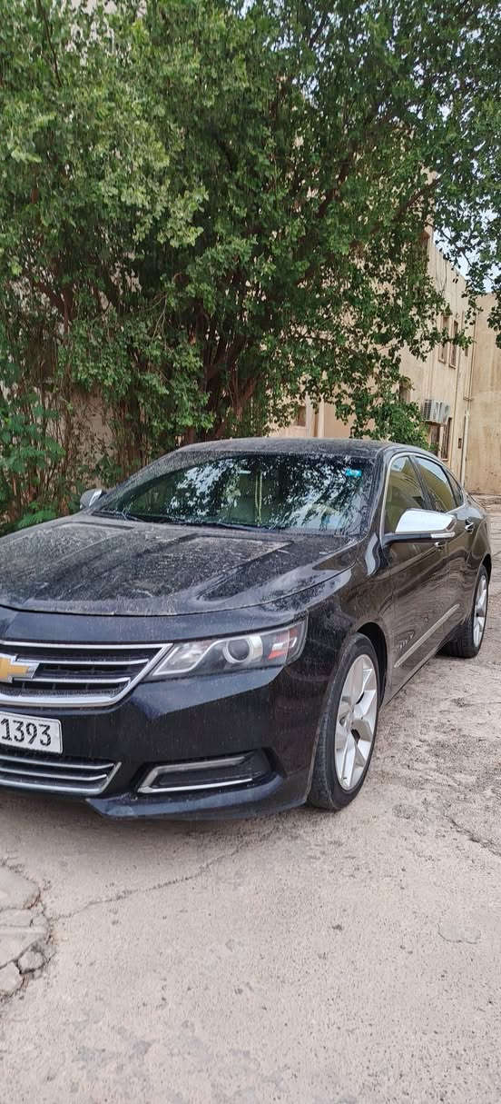 امبالا بريمر • ٢٠١٨ • ضربه خلفي