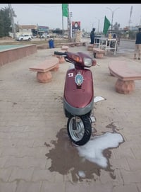 زعره • حاويه