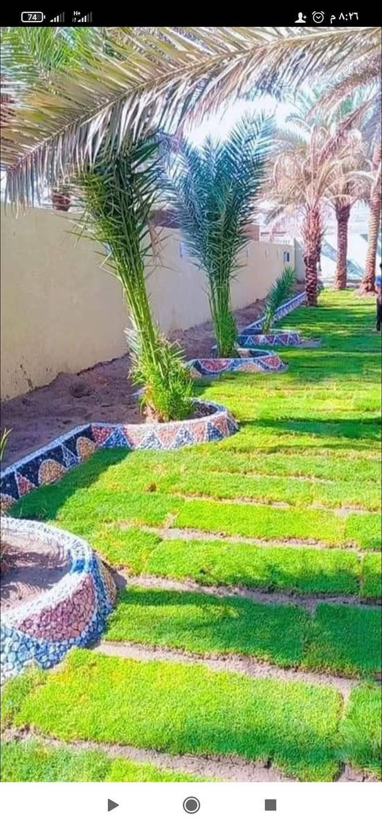 حسين لتصميم الحدائق ***********
🍃مستـعدون🍂 ، لـترتيب🐦 الحدائق المنزلية 🏝️🏘️
وزراعة النباتات، 🌾🌴🌱والازهار، 🌼🌺🌻وقص الثيل.🌾🌾
وعمل الديكورات والتصاميم،الحديثة للحدائق،، بواسطة الاحجار الملونة 
ونعمل على تصميم الشلالات 💦والنافورات

نص مكتوب في الصور:
- مشتل قريبة
- قبل ٥ دقائق