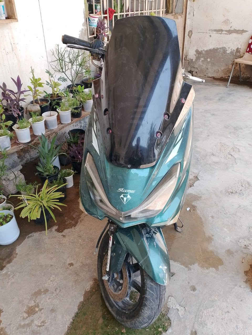دراجه سترونك 23 للبيع
دراجه تاركها صار سنه ما طالع بيها جنت مسافر
دراجه سنتين ماصارف عليها غير بس دهن وبانزين
بيها نقوصات قليله كلش بس دراجه انكر سلف واطلع
ترايها بشرط لوين متريد شلعه شك الكاع محتاح ومستعجل على بيعتها سعرها 350 وتعرفون اسعار السترونك شلونها للاستفسار ***********
