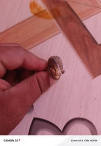للبيع داوودي عطف07828588004