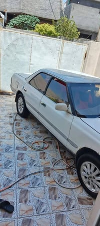 بدون صبغ • ١٩٩١ • ديالى بلدروز