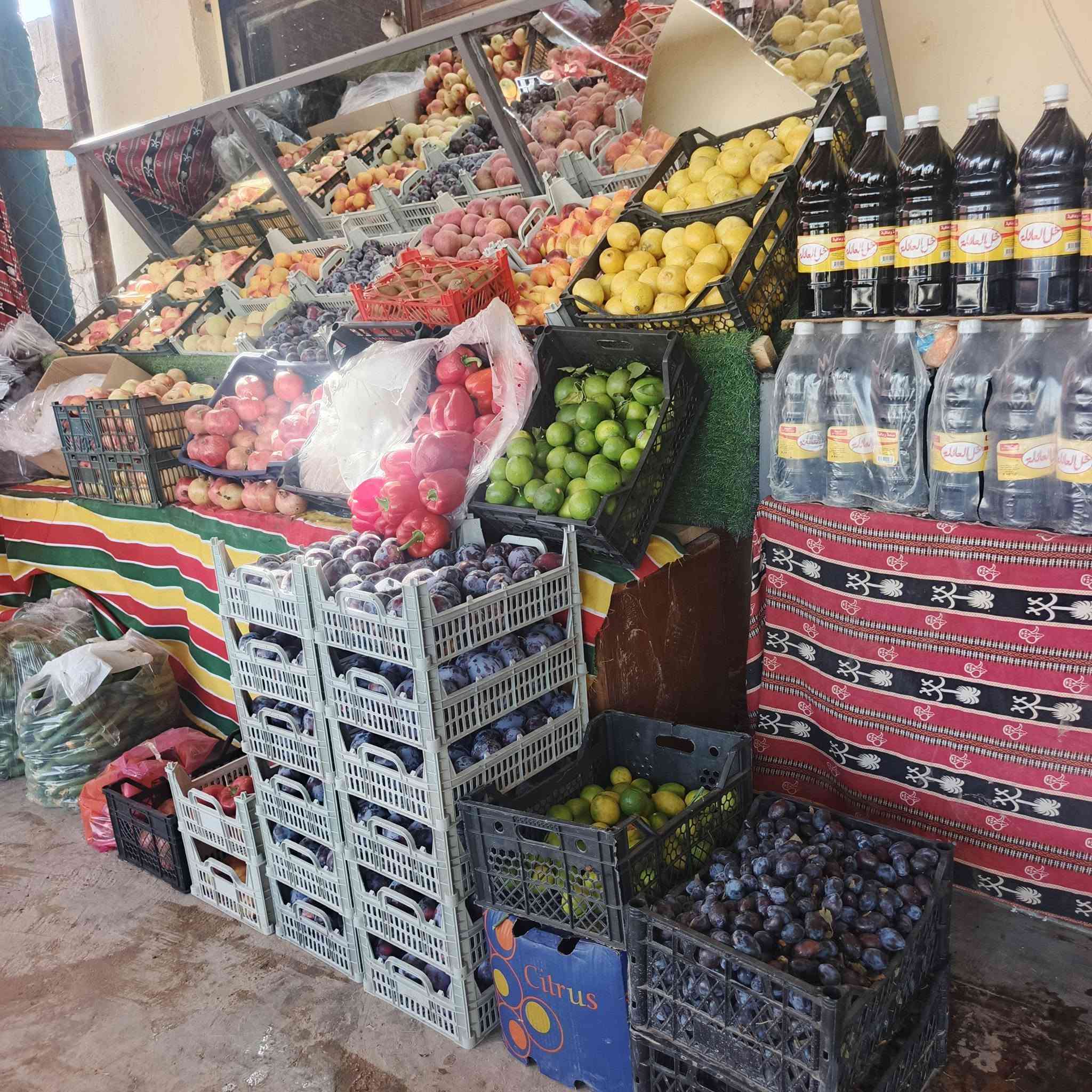 السلام عليكم علوه التساهل ترحب بكم عروض اليوم 
طماطه 400
بتيته 900
كوجه درجه اولي 750بل صندوك 
فلفل مزحلط درجه اولي الكيس 5000 الوزن 13 
بذنجان درجه اولي شرط ب 400 
تفاح درجه اولي 750 
ركي عل سجين شرط 3 بلف مال مشاريع 
ركي 250 
عنب من 250 الي 1250 
جميع انواع الحشايش متوفره 
كل نوعيات  الخضره متوفره 
العنوان ال كرابله شارع البره شرجي المدرسه النهضه الشرقيه مجاور اسواق التساهل
