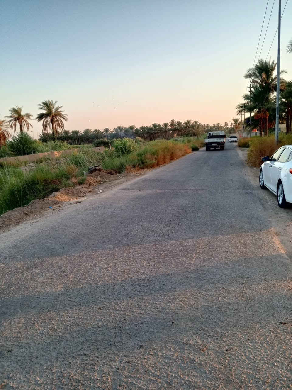 العلاك • ١٠٠٠م • طابو زراعي