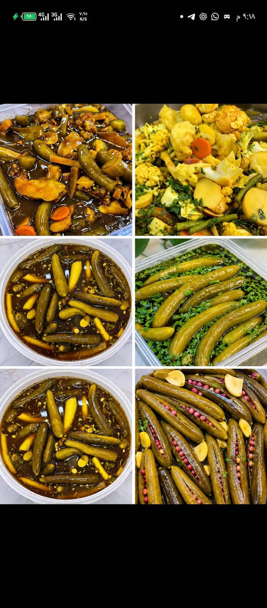 نجف حي الجمعية • سطل ٨كيلو • مخللات ومحاشي