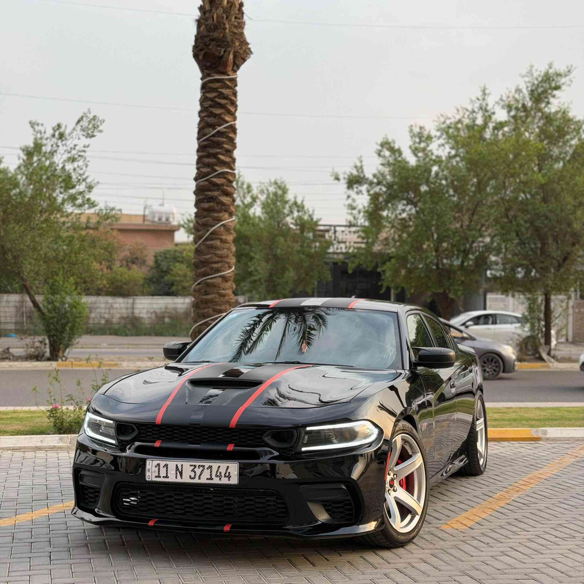 سكات باك • V8 ٦٤٠٠ • رقم بغداد