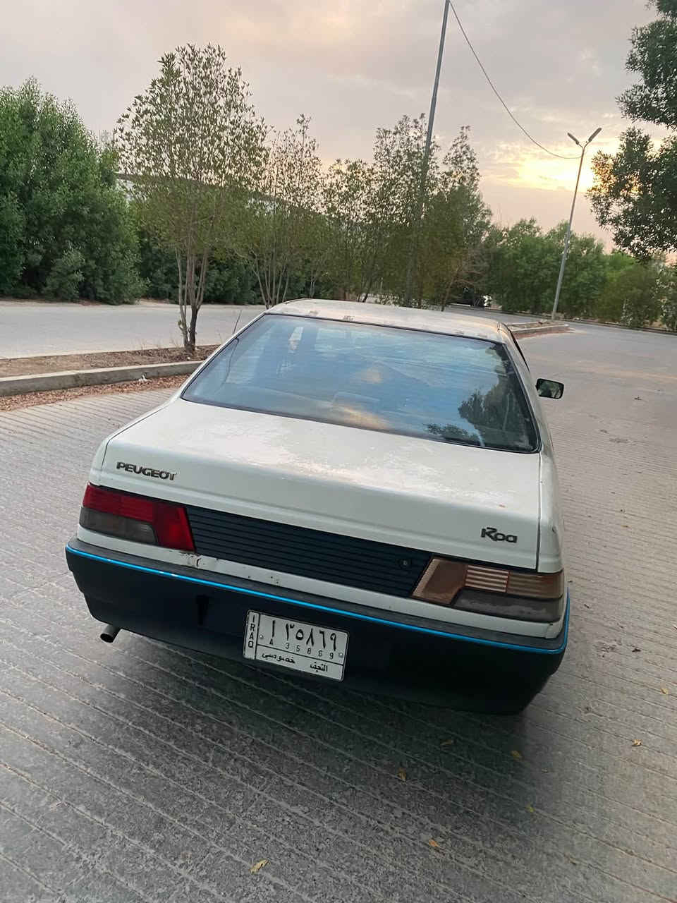 بيجو روا • ٢٠١٠ • مجال للشراية