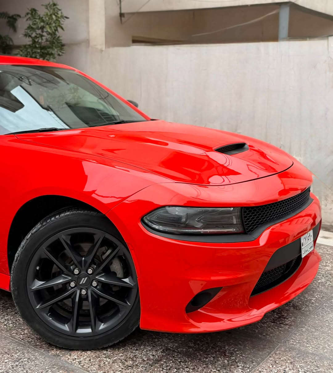 جارجر GT Plus 2023 وارد كندا
Dodge Charger GT Plus 2023

السيارة بدون ارقام 

السيارة فول مواصفات اعلى اصدار 6 سلندر

السيارة 4 ويل 

السعر 19800

صبغ السيارة جاملغ امامي و بنيد وبداية اللغد الايمن 

و بيهة صبغ من كندا باب خلف السايق وكلير جاملغ خلفي وباب السايق وتم ازالته 100‎%‎

ابيعلك 3 قطع صبغ و شبر من اللغد 

عداد السيارة 19 الف ميل فقط

السيارة نظيفة جدا 

سلايد ( فتحة سقف)

بصمة تشغيل عن بعد 

* محرك: V6 سعة 3.6 لتر

* عداد السيارة 19000 mi

* القوة:  300 حصان  

* العزم:  358 نيوتن متر  

* ناقل الحركة: أوتوماتيك 8 سرعات

* الدفع: خلفي (RWD) و رباعي (AWD)

* التسارع 0-100 كم/س: تقريباً 6.5 – 7 ثواني  

* عدد المقاعد: 5

* المقاعد جلد وكنتارة (Leather seats)

* تبريد وتدفئة للمقاعد الأمامية

* تدفئة الدركسون

* نظام صوتي Alpine 

* شاشة 8.4 إنش مع:

    * Apple CarPlay

    * Android Auto  

* تشغيل عن بعد + دخول ذكي

* مثبت سرعة متكيف (Adaptive Cruise Control)

* تحذير تصادم أمامي + فرملة طوارئ

* نظام المحافظة على المسار

* حساسات + كاميرا خلفي

* تحذير مغادرة المسار

* توقف طوارئ تلقائية

* مثبت سرعة ذكي

* حساسات اصطفاف

* وسائد هوائية متعددة

مكان السيارة بغداد زيونة 

***********
