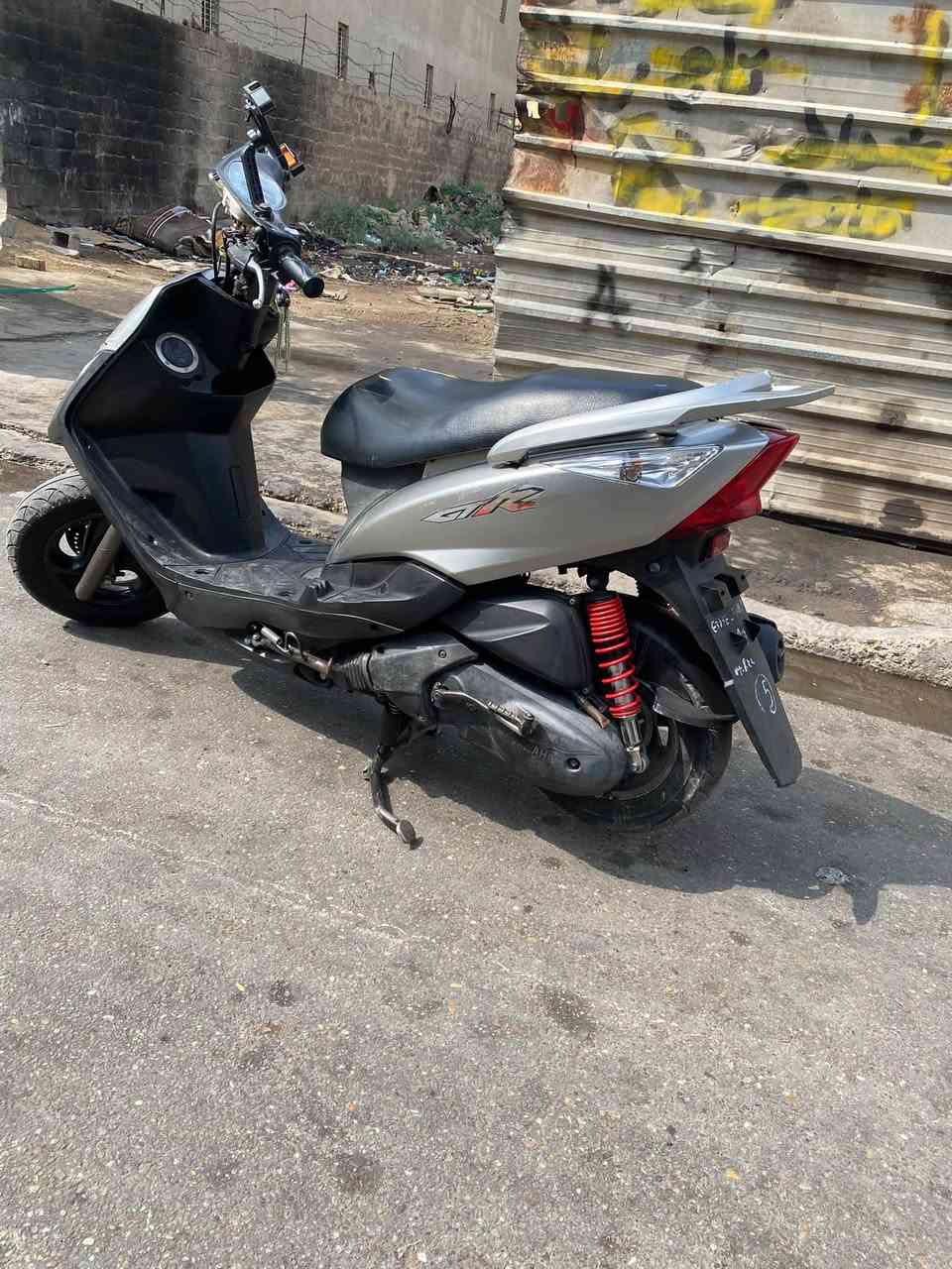 ثعلب • رمبه • جديدة