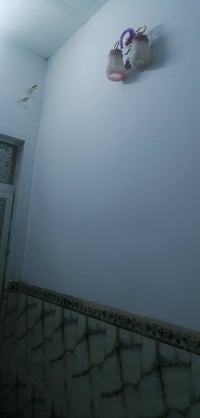 دار للبيع زراعي سند 25  المساحة 100 العنوان الماجدية حجي حسن الاولى ال...