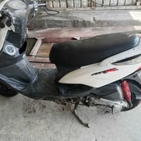 ثعلب • بلادية • ناقص