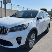٢٠١٩  بسمي مكفولة بيها بارد صغار ثنين وتكحيل كد اربع اصابع سونار موجود...