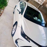 كورلا ٢٠١٩ • بونيت مبدل • أرقام جديدة