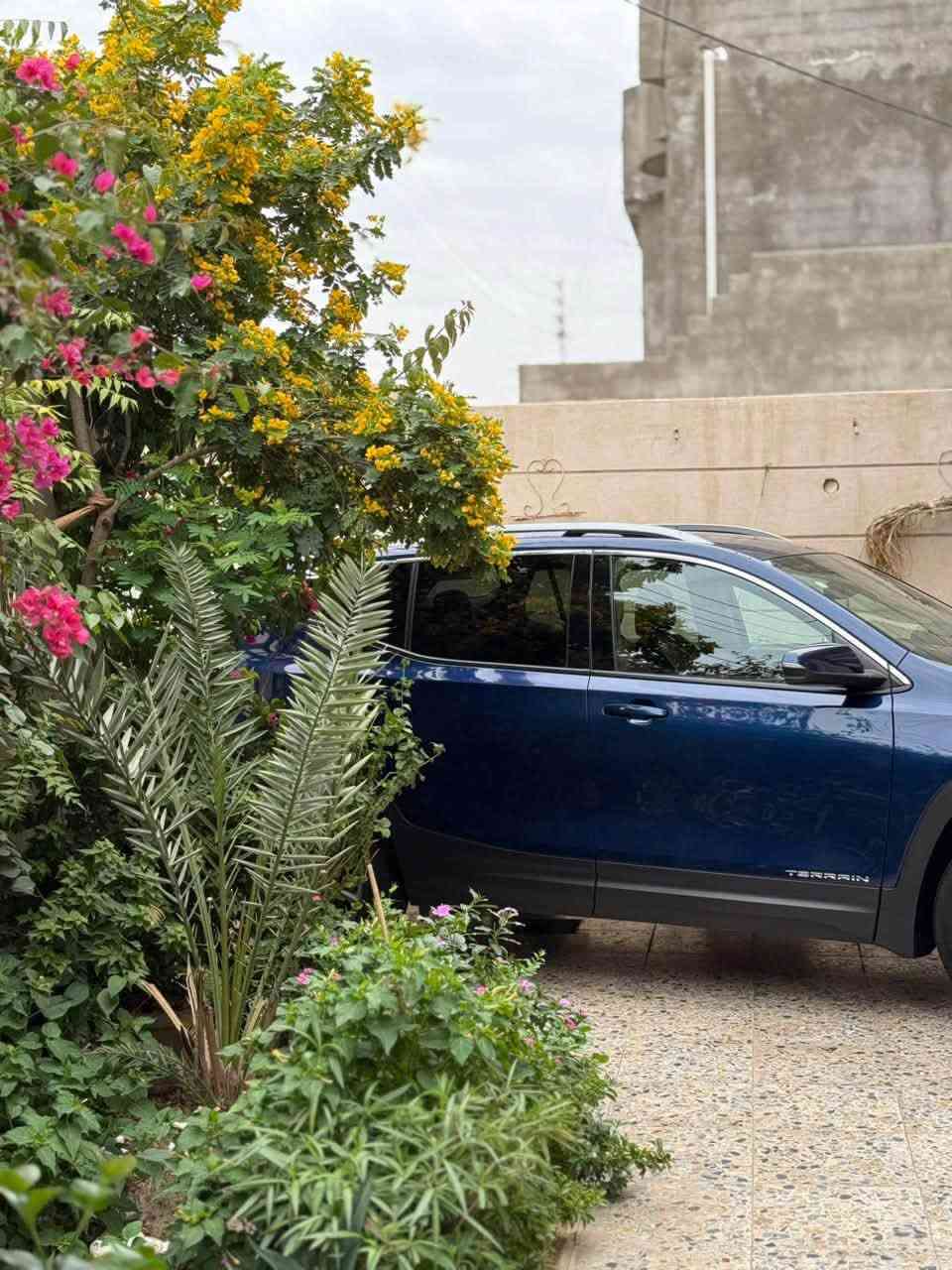 السلام عليكم 

جمسي تيران ٢٠٢٣للبيع

مواصفات SLTفول ما عدى الفتحة

تدفئة كشنات 

تدفئة ستيرن 

كشنات جلد 

مودات قيادة

السيارة تو ويل وليس فور ويل

بدون حادث داخله تقرير (كفاله عامة )

ملاحظة مهمه السيارة كفاله عامة من كل النواحي كبدي ومحرك وكير وكهربائيات جديدة على وضع الشركة ونظيفه 

وبيها بعد مواصفات هواي 

وسعرها ١٨٠وبيها مجال 

*********** رقمي 
وبالعافية على الي ياخذها
