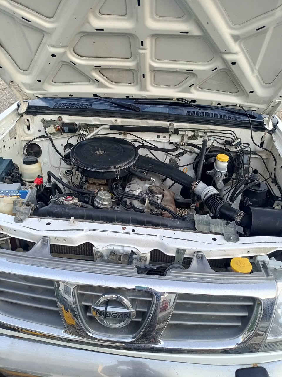 پيكاب نيسان ٢٠٠١زئت مةحسةن   ئارم پلاستيك گير و مةكينه  اكسل بةشةرت  تةبريت پاوةر بيلاد بئ سبوخ بئ لئدران. پئش و پشتةي  كةپس بئ نوكه دةرزي   تا دعاميكاني بيلادي هةموو گياني لةسةر دةقي بيلادي   چمچةو تةرتيبات  يةك  ٢٥٠ مةسرفي نيه  بؤ زانياري زياتر  پةيوندي بكه  ***********گةر مشتري ني سةرمان مةهيشينه ...
