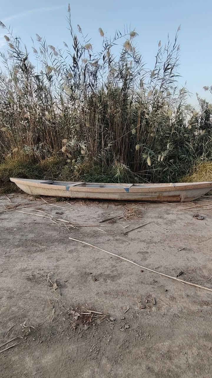 بلم • بابل • جبله