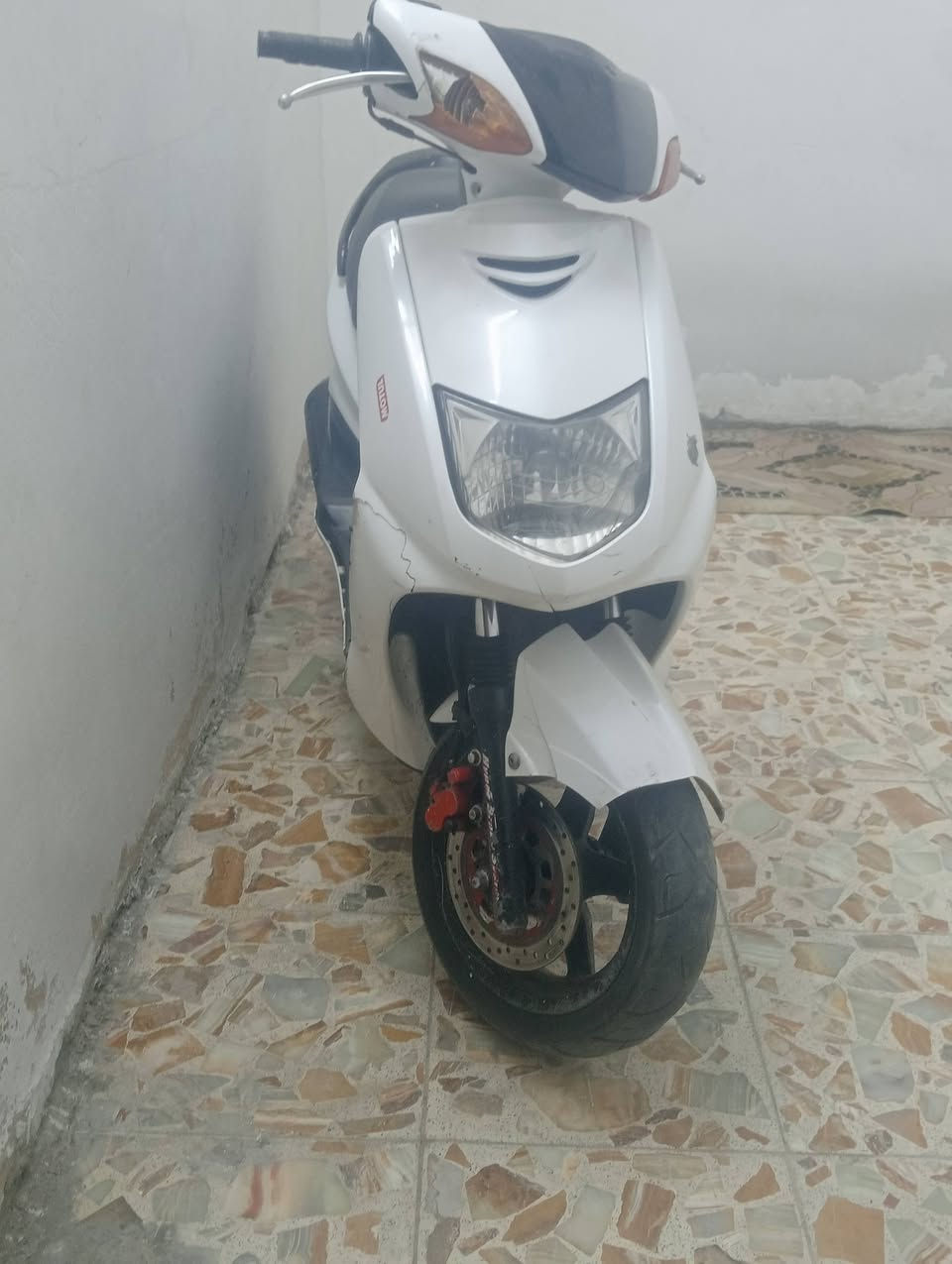 سكنس نثية • معدل • ١٤٠