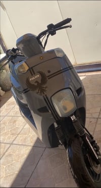 ماكس بوليس • ٢٠٢١ • دبلات رياضية