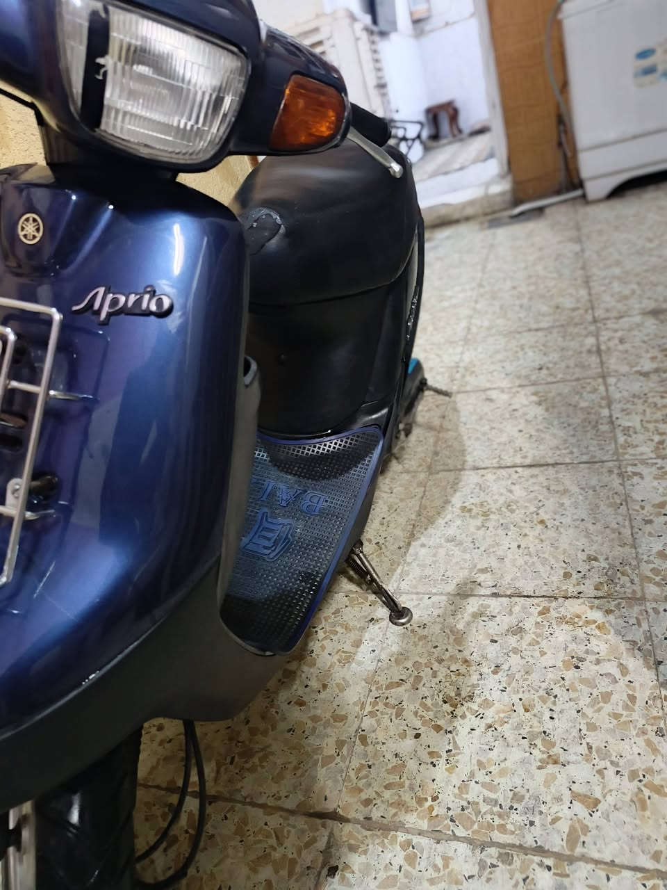 بطة • نضيفه • زنون