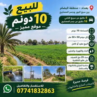 البصّام بغداد • ١٠ دونم • سند ٢٥