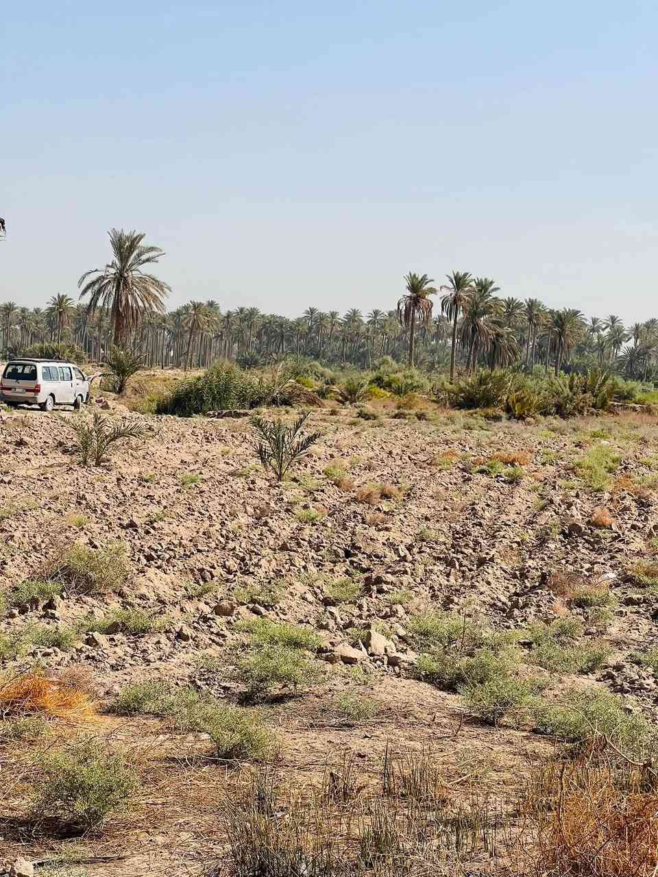 دونم طابو زراعي الواجه ٢٥ متر  النجف مناذره شارع الحصينات قريب ع شط موقع حلو ماء كهرباء كلشي موجود السعر ٣٥. او مراوس بيت ***********
