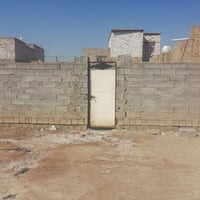 الزيتون • ٢٠٠م • واجهه ١٠م