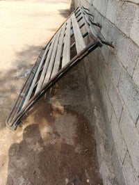 متوفر سوبايه زيتونيه العنوان بغداد الرضوانيه بسعر 50وبيها مجال