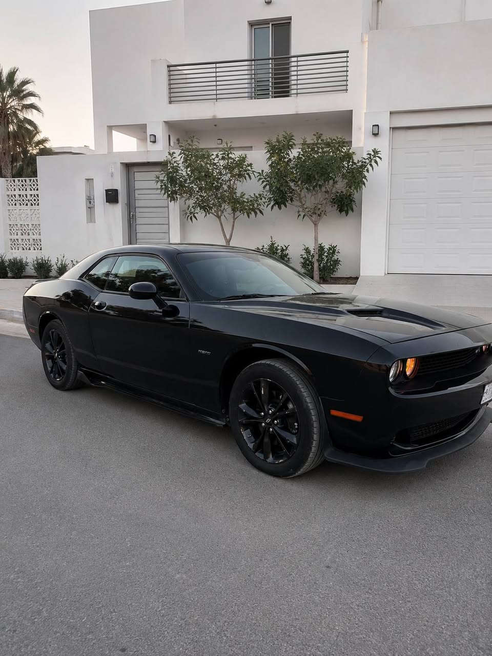 السلام عليكم sxt 2023 ترهم قسط بمقدمة زينه
للإستفسار ***********
