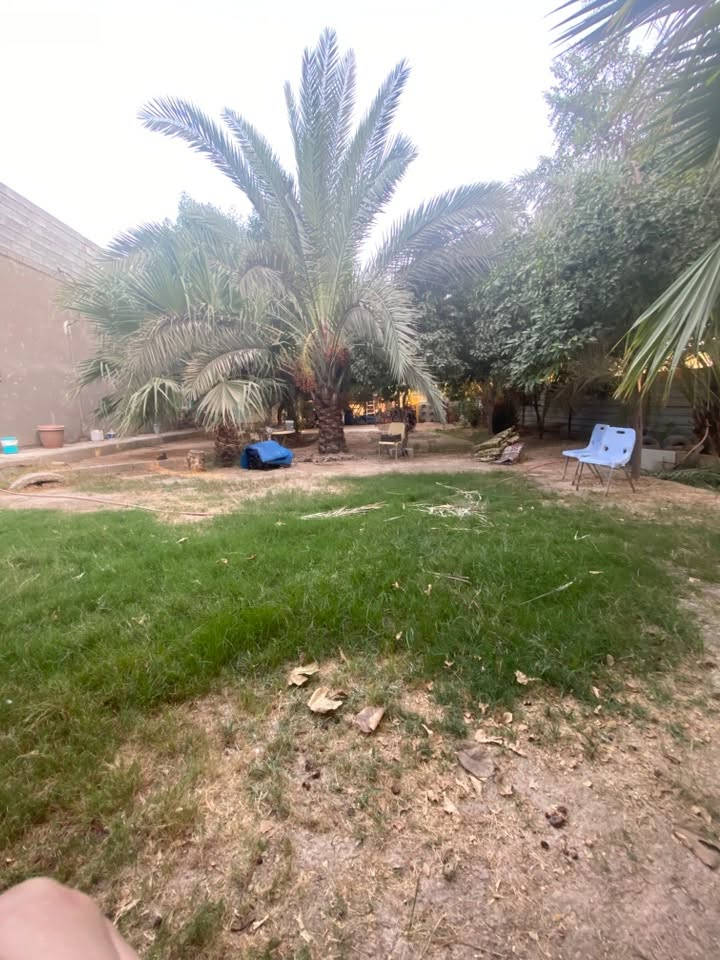ارض زراعيه • ٢٠٠م • ديالى الخالص