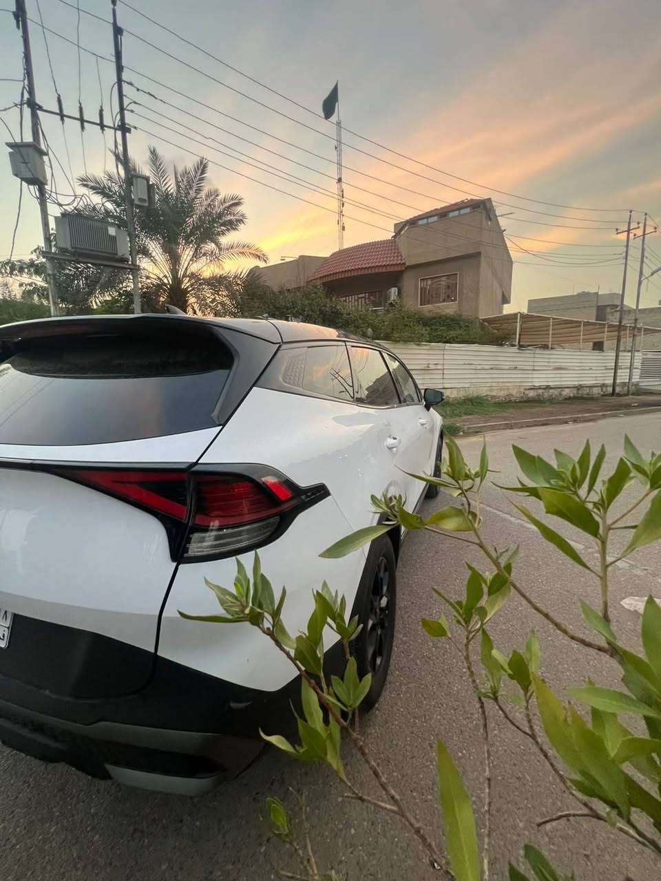 وارد امريكي • موديل ٢٤ • سبورتج X-PRO