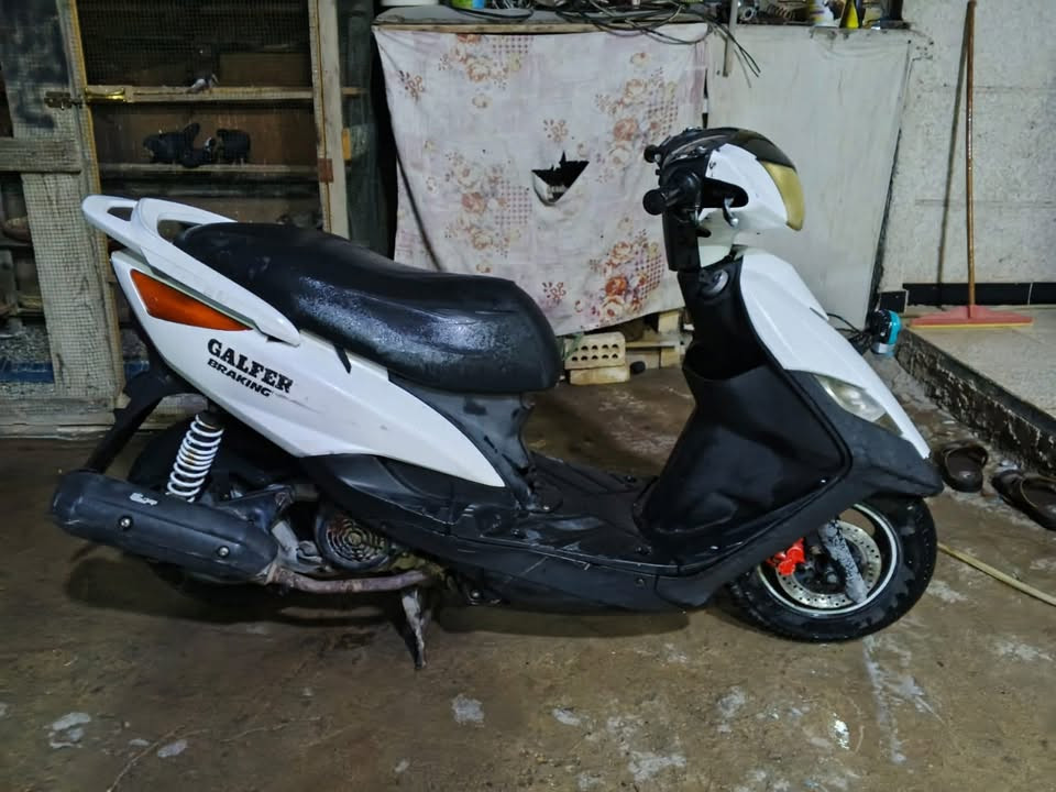 ماكس ثعلب • شوتة • دبلات امامي