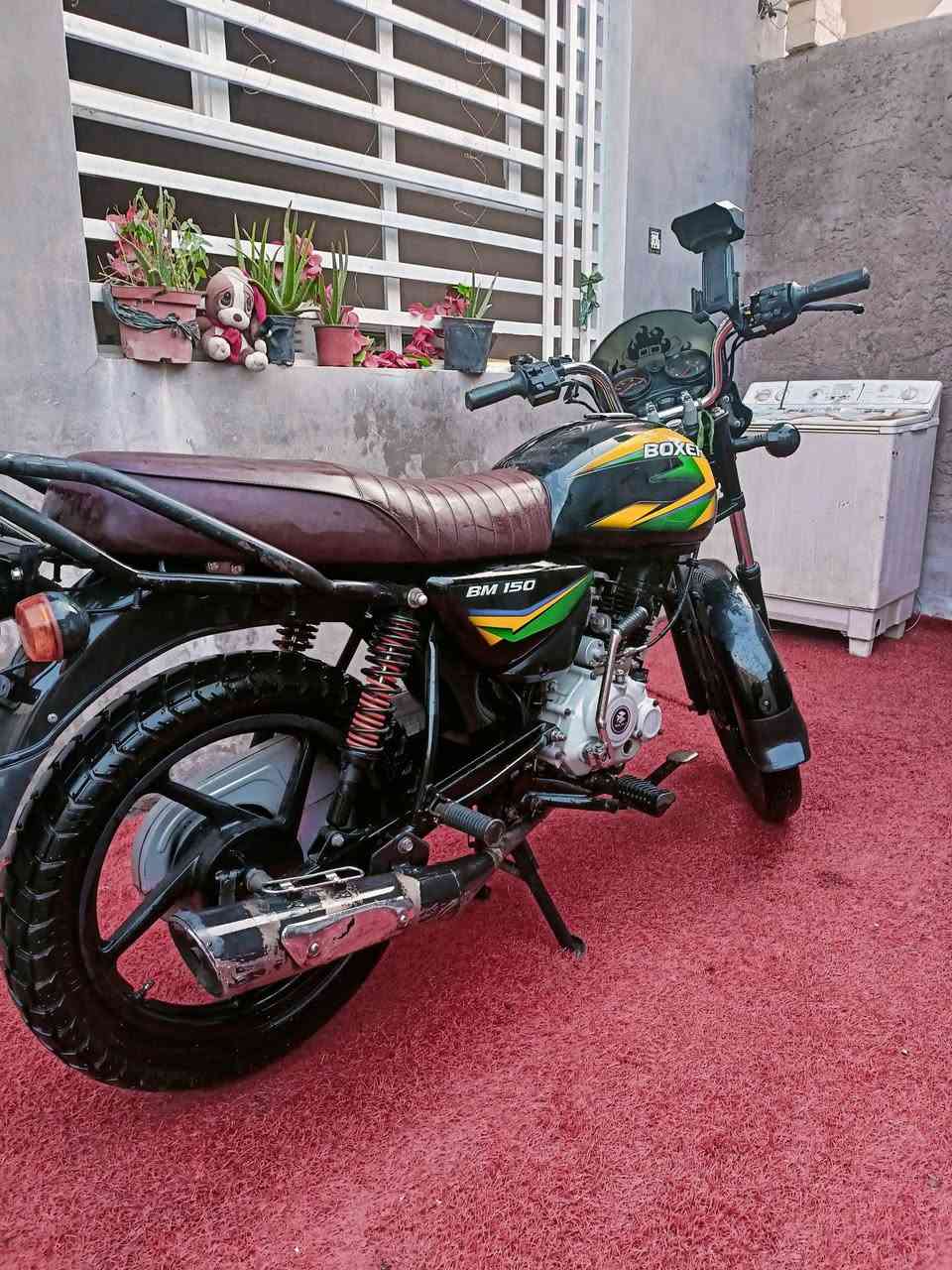 بوكسر • ٢٠٢٣ • نضيفه